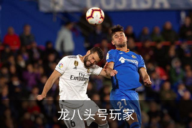 龙八头号玩家公司介绍图片